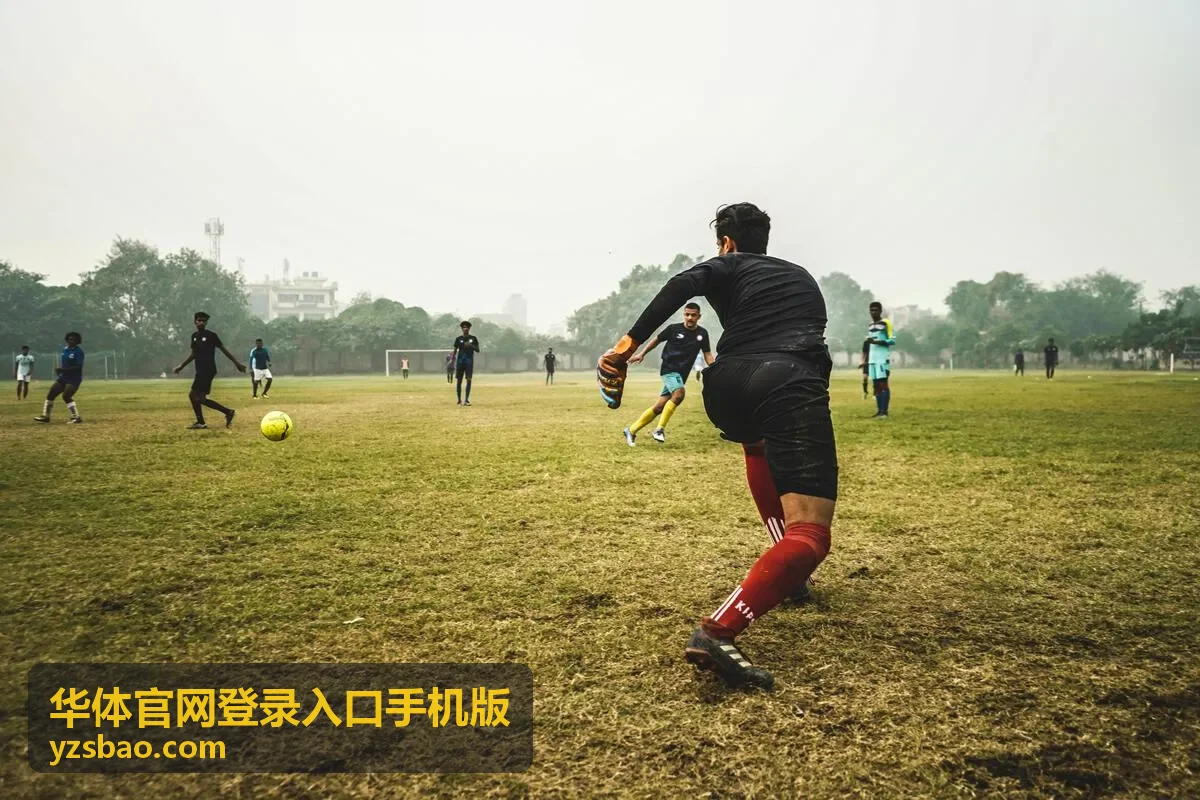 华体官网登录入口手机版常见访问问题排查方法