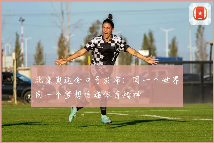 北京奥运会口号发布:同一个世界同一个梦想传递体育精神