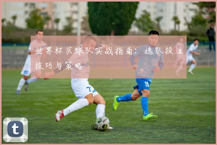 世界杯买球队实战指南：选队投注技巧与策略